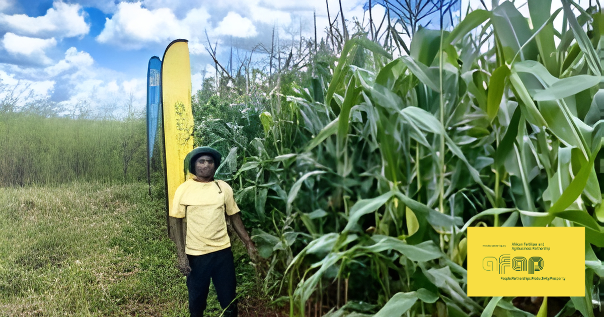 AFAP and Bayer Establish Network Demo Plots in Mozambique